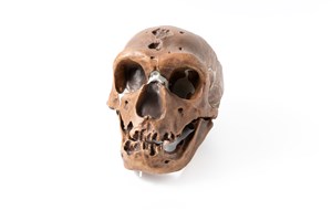 Image description is not available for 2018.2.2